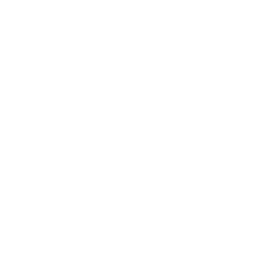 Fichtner Logo