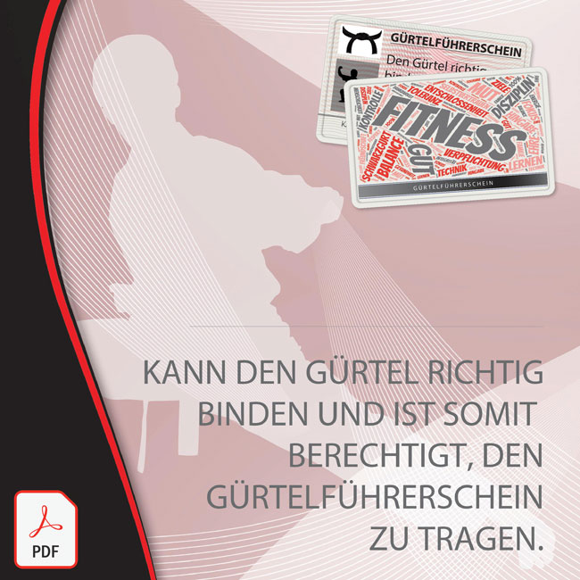 Gürtelführerschein 