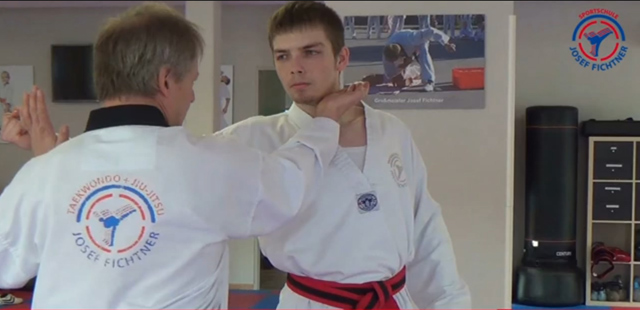 ilbo-taereon-josef-fichtner