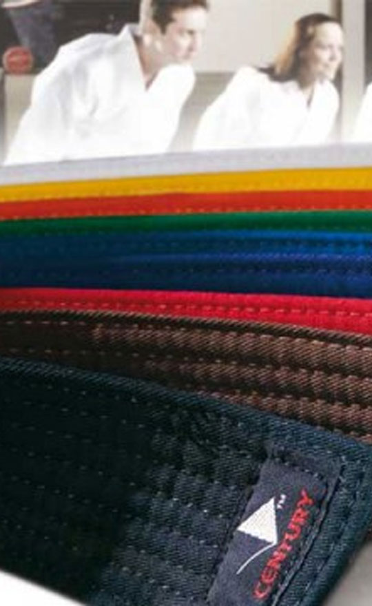 taekwondo gürtel